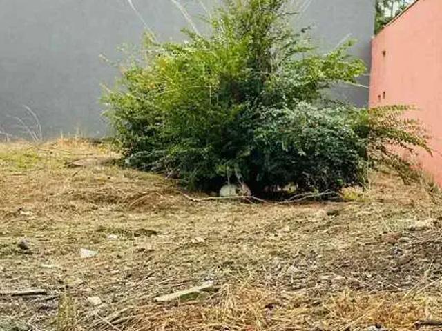 Terreno / Lote para Venda em São Bernardo do Campo/SP Dos Casa