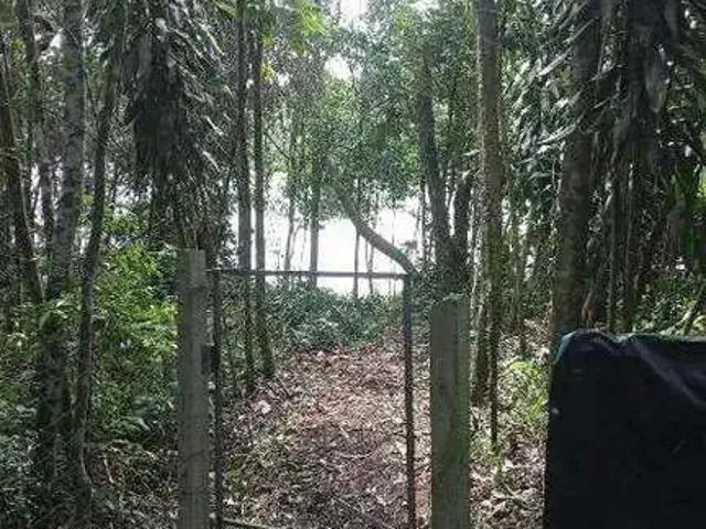 Terreno / Lote para Venda em São Bernardo do Campo/SP Dos Finco