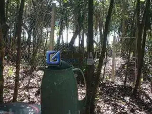 Terreno / Lote para Venda em São Bernardo do Campo/SP Dos Finco