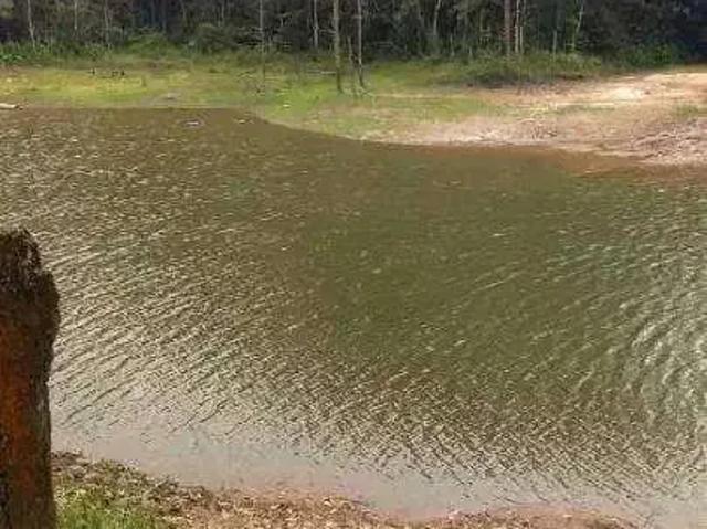 Terreno / Lote para Venda em São Bernardo do Campo/SP Dos Finco