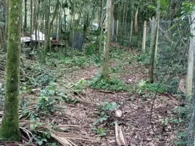 Terreno / Lote para Venda em São Bernardo do Campo/SP Dos Finco