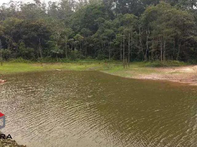 Terreno / Lote para Venda em São Bernardo do Campo/SP Dos Finco