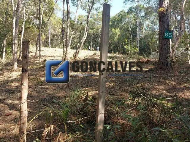 Terreno / Lote para Venda em São Bernardo do Campo/SP Dos Finco