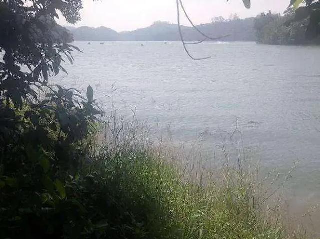 Terreno / Lote para Venda em São Bernardo do Campo/SP Dos Finco