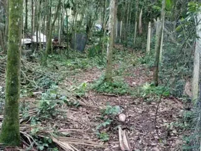 Terreno / Lote para Venda em São Bernardo do Campo/SP Dos Finco