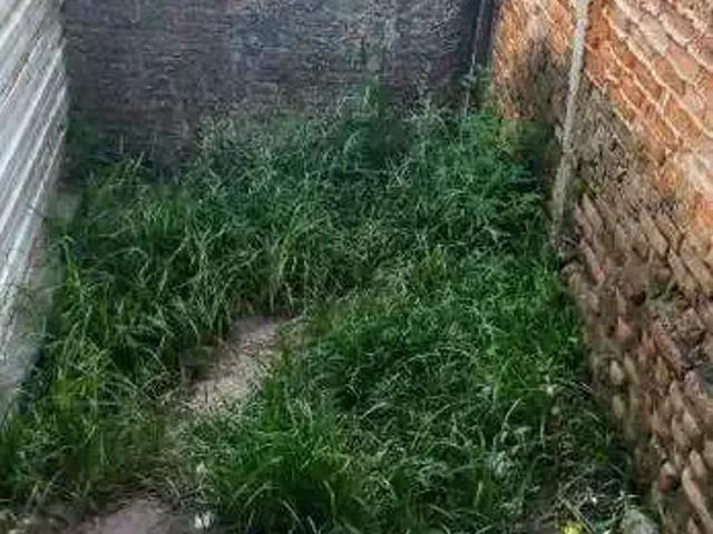 Terreno / Lote para Venda em São Bernardo do Campo/SP Ferrazópolis