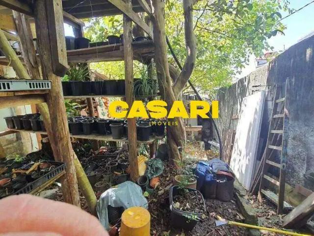 Terreno / Lote para Venda em São Bernardo do Campo/SP Independência