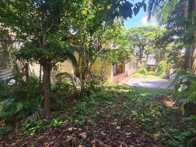 Terreno / Lote para Venda em São Bernardo do Campo/SP Jardim do Mar