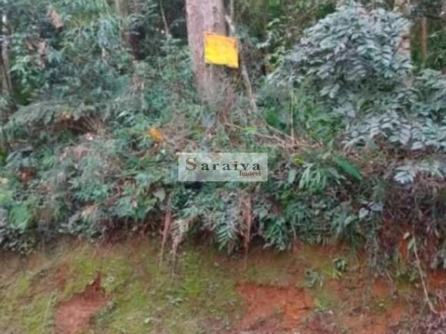 Terreno / Lote para Venda em São Bernardo do Campo/SP Parque Botujuru