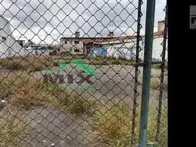 Terreno / Lote para Venda em São Bernardo do Campo/SP Paulicéia
