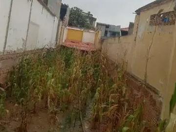 Terreno / Lote para Venda em São Bernardo do Campo/SP Planalto