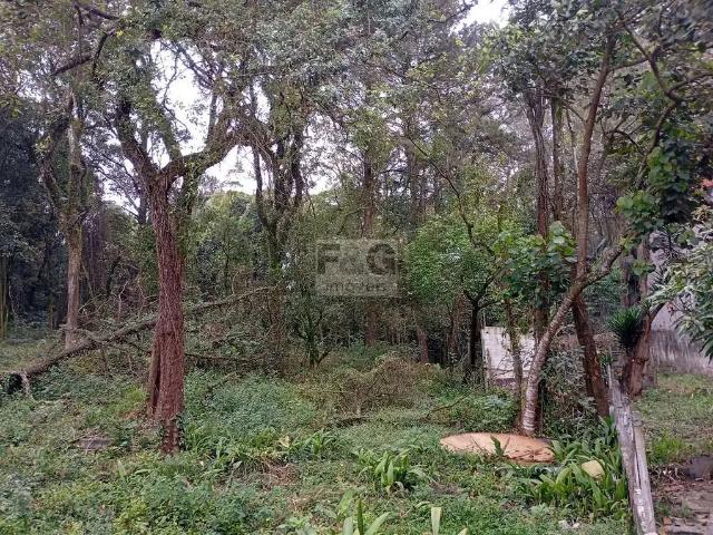 Terreno / Lote para Venda em São Bernardo do Campo/SP Planalto