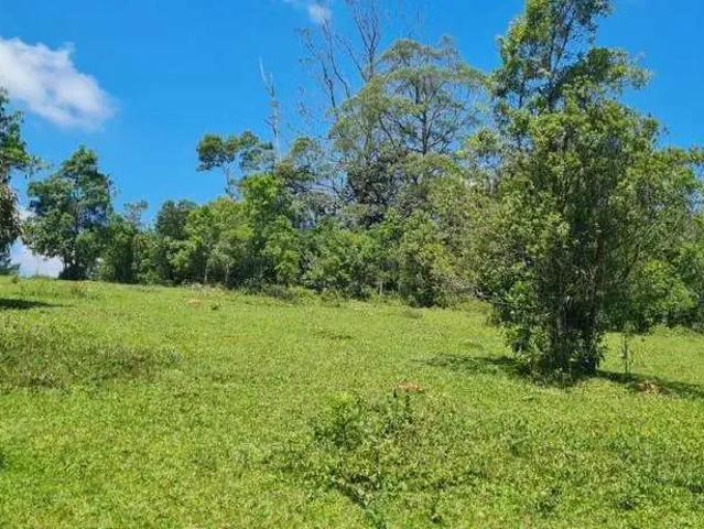 Terreno / Lote para Venda em São Bernardo do Campo/SP Rio Grande