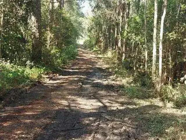 Terreno / Lote para Venda em São Bernardo do Campo/SP Riacho Grande