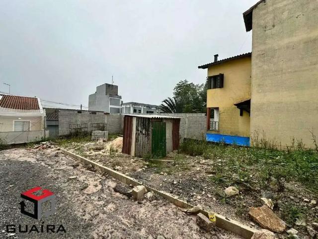 Terreno / Lote para Venda em São Bernardo do Campo/SP Santa Terezinha