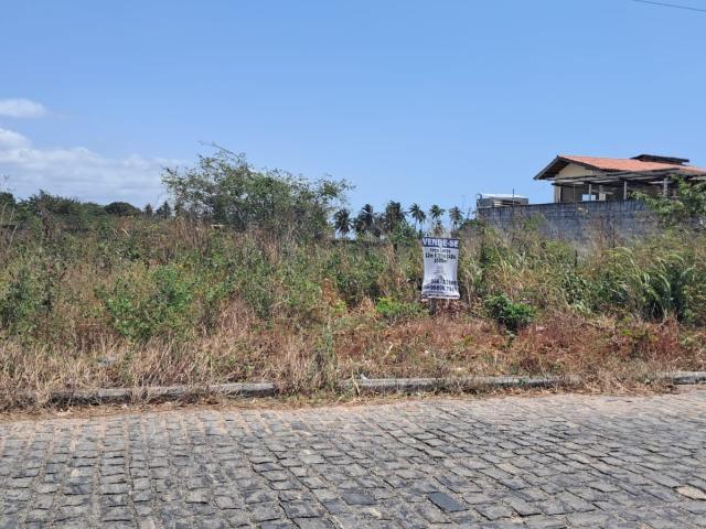 Terreno / Lote para Venda em São Gonçalo do Amarante/CE Colônia