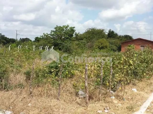 Terreno / Lote para Venda em São Gonçalo do Amarante/CE Pecém