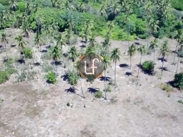 Terreno / Lote para Venda em São Gonçalo do Amarante/CE Pecém