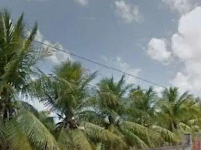 Terreno / Lote para Venda em São Gonçalo do Amarante/CE Pecém