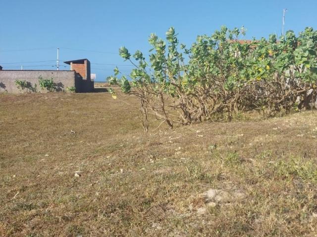 Terreno / Lote para Venda em São Gonçalo do Amarante/CE Taíba