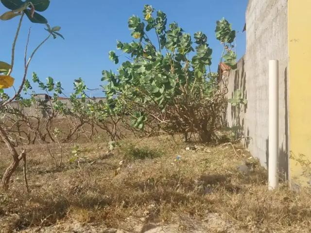 Terreno / Lote para Venda em São Gonçalo do Amarante/CE Taíba