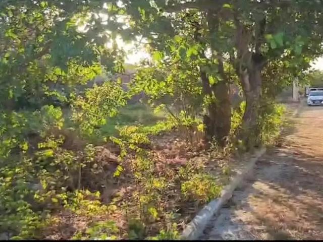 Terreno / Lote para Venda em São Gonçalo do Amarante/CE Taíba