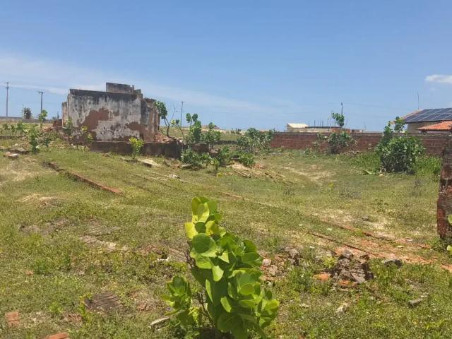 Terreno / Lote para Venda em São Gonçalo do Amarante/CE Taíba