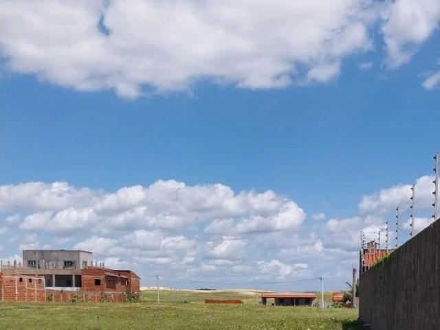 Terreno / Lote para Venda em São Gonçalo do Amarante/CE Taíba