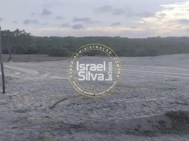 Terreno / Lote para Venda em São Gonçalo do Amarante/CE Taíba