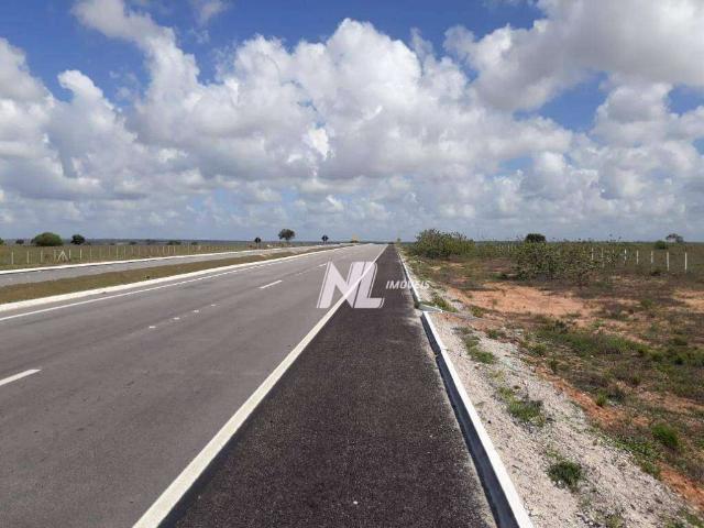 Terreno / Lote para Venda em São Gonçalo do Amarante/RN Centro