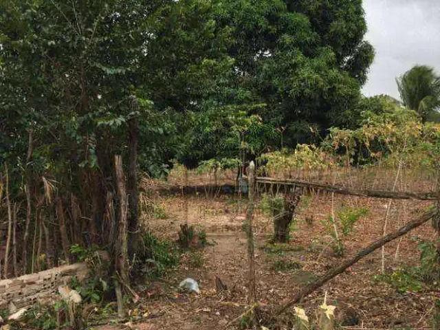 Terreno / Lote para Venda em São Gonçalo do Amarante/RN Santa Terezinha