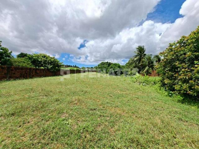 Terreno / Lote para Venda em São Gonçalo do Amarante/RN Santo Antônio do Potengi