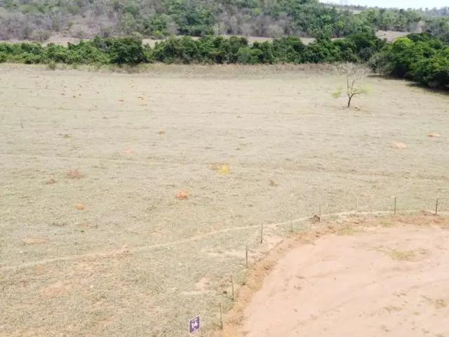 Terreno / Lote para Venda em São Gonçalo do Pará/MG Zona Rural