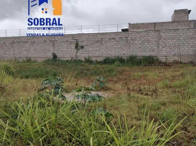 Terreno / Lote para Venda em São Gonçalo dos Campos/BA Centro