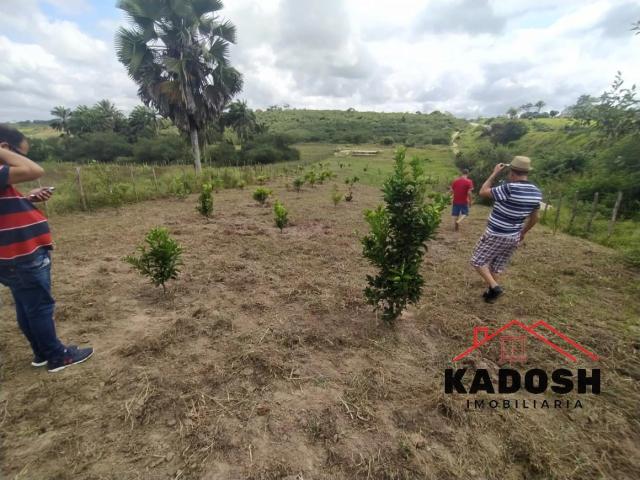 Terreno / Lote para Venda em São Gonçalo dos Campos/BA Centro