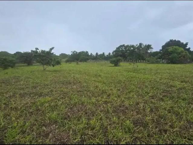 Terreno / Lote para Venda em São Gonçalo dos Campos/BA Tapera