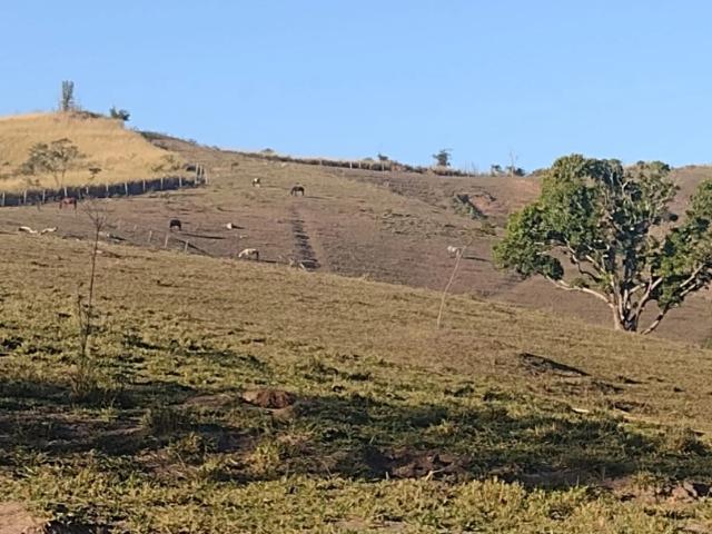 Terreno / Lote para Venda em São Gonçalo/RJ Raul Veiga