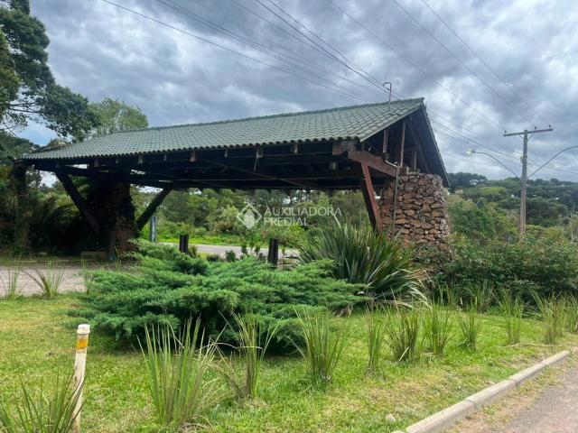 Terreno / Lote para Venda em São Francisco de Paula/RS Colinas