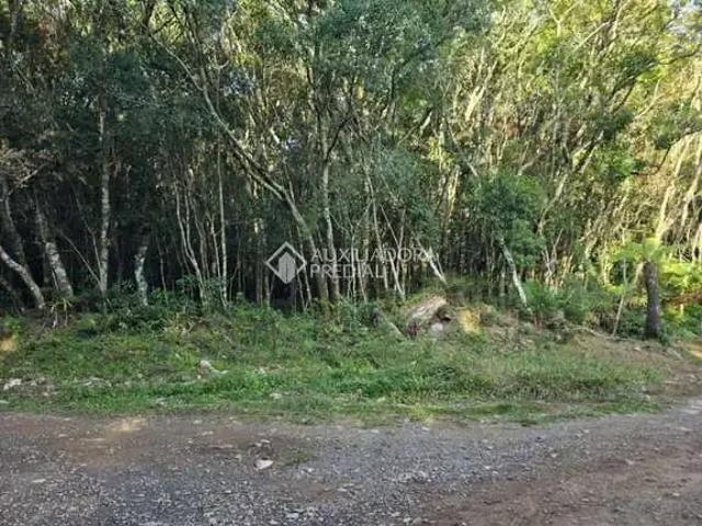 Terreno / Lote para Venda em São Francisco de Paula/RS Colinas