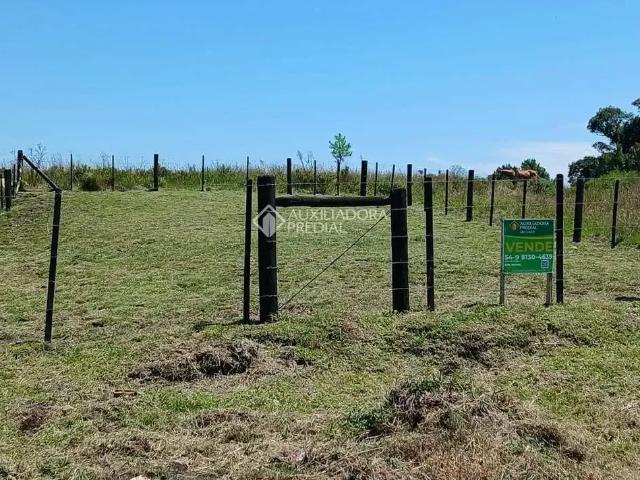 Terreno / Lote para Venda em São Francisco de Paula/RS Campo do Meio