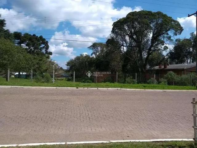 Terreno / Lote para Venda em São Francisco de Paula/RS Centro