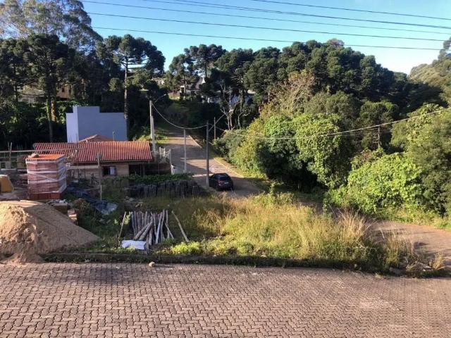 Terreno / Lote para Venda em São Francisco de Paula/RS Centro