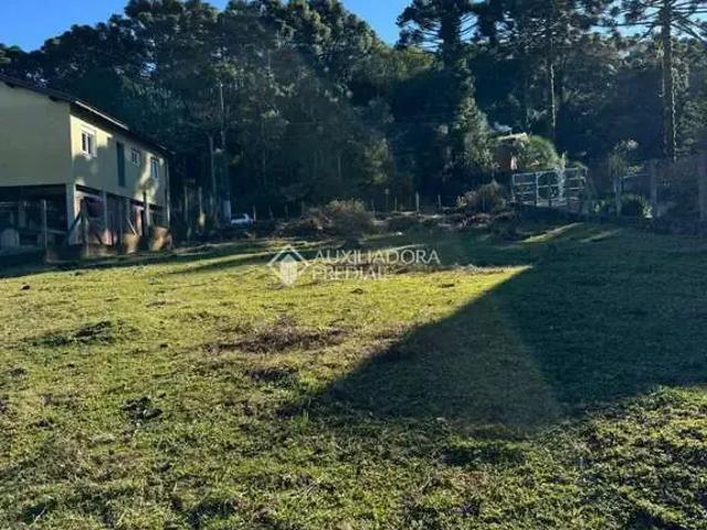 Terreno / Lote para Venda em São Francisco de Paula/RS Centro