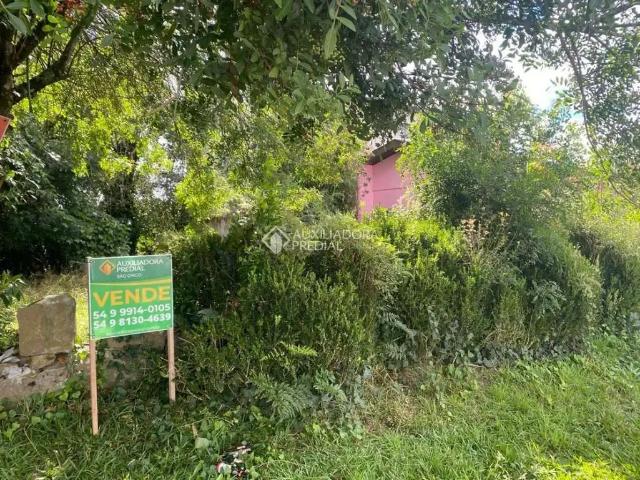 Terreno / Lote para Venda em São Francisco de Paula/RS Centro
