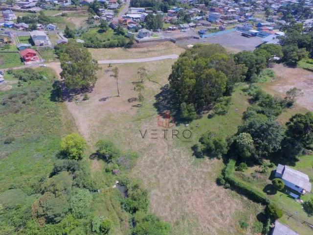 Terreno / Lote para Venda em São Francisco de Paula/RS Centro