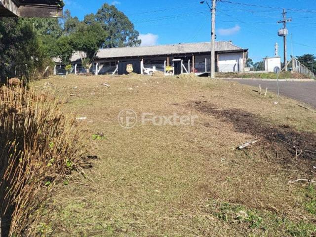Terreno / Lote para Venda em São Francisco de Paula/RS Centro