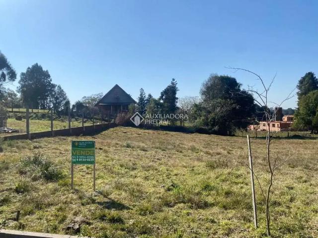 Terreno / Lote para Venda em São Francisco de Paula/RS Centro