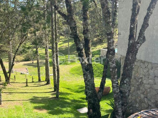 Terreno / Lote para Venda em São Francisco de Paula/RS Centro