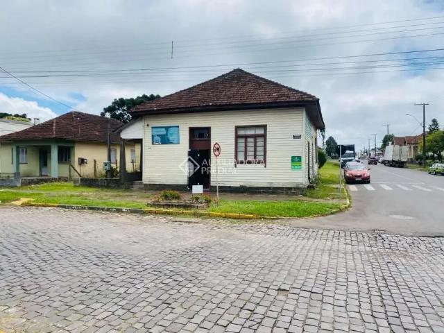 Terreno / Lote para Venda em São Francisco de Paula/RS Centro