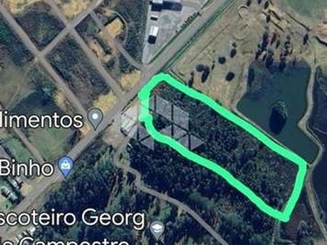 Terreno / Lote para Venda em São Francisco de Paula/RS Centro